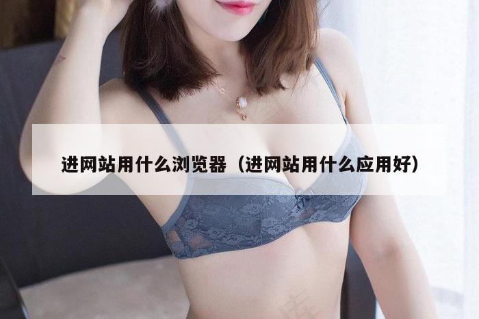 进网站用什么浏览器(进网站用什么应用好)