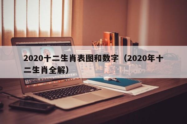2020十二生肖表图和数字（2020年十二生肖全解）